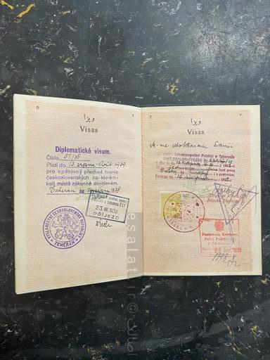 گذرنامه و پاسپورت سیاسی