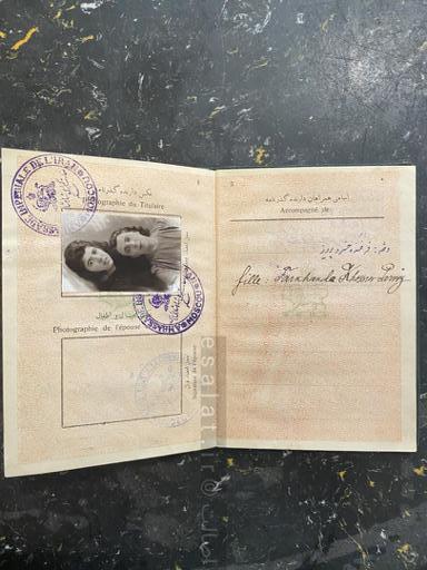 گذرنامه سیاسی محمدرضاشاهی